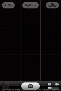 iPhone camera with grid on