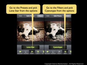 camera awesome vintage.002