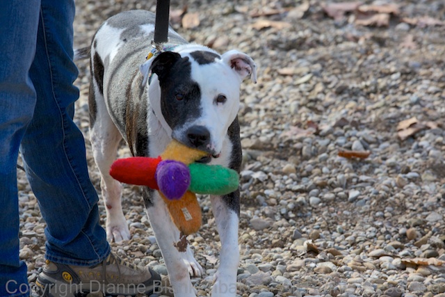 02 Tisen grateful for Jack