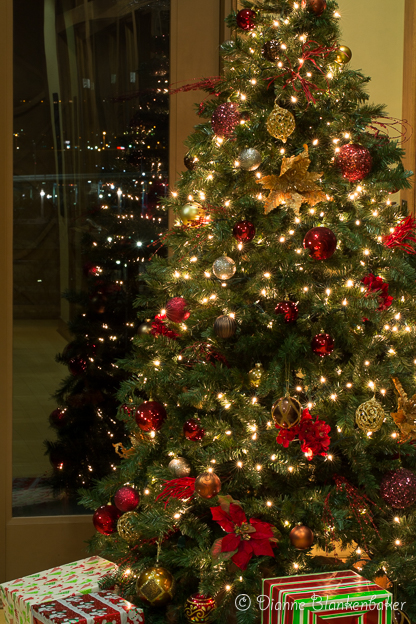 We're back to star-shaped lights, although it's harder to see. Notice how much smaller the reflected and distant lights look in the window.