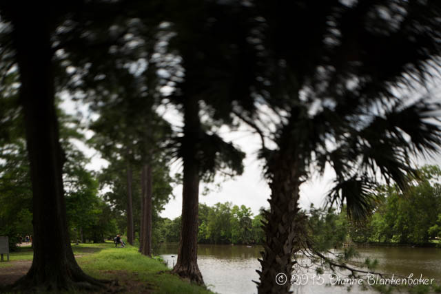 What is acceptably sharp forms a wedge that runs roughly parallel to the ground rather than a plane that spans the entire angle of view and runs parallel to the camera sensor.